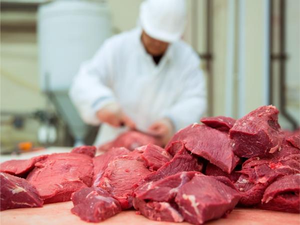 Expansion of beef, poultry and horse meat processing