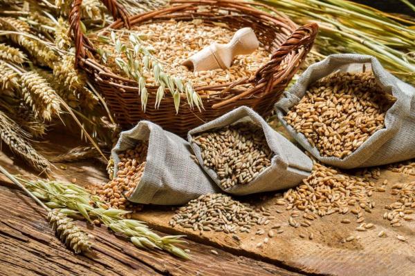 Құрама жем өндіретін зауытты іске қосу